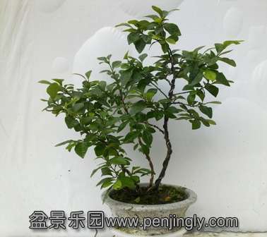 20130716612.jpg