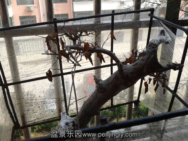 2013-07-24 10.19.06.jpg
