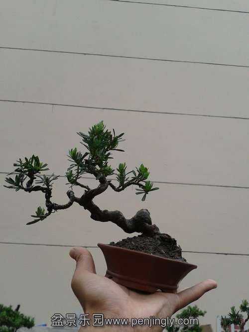 2013-05-17 13.15.23.jpg