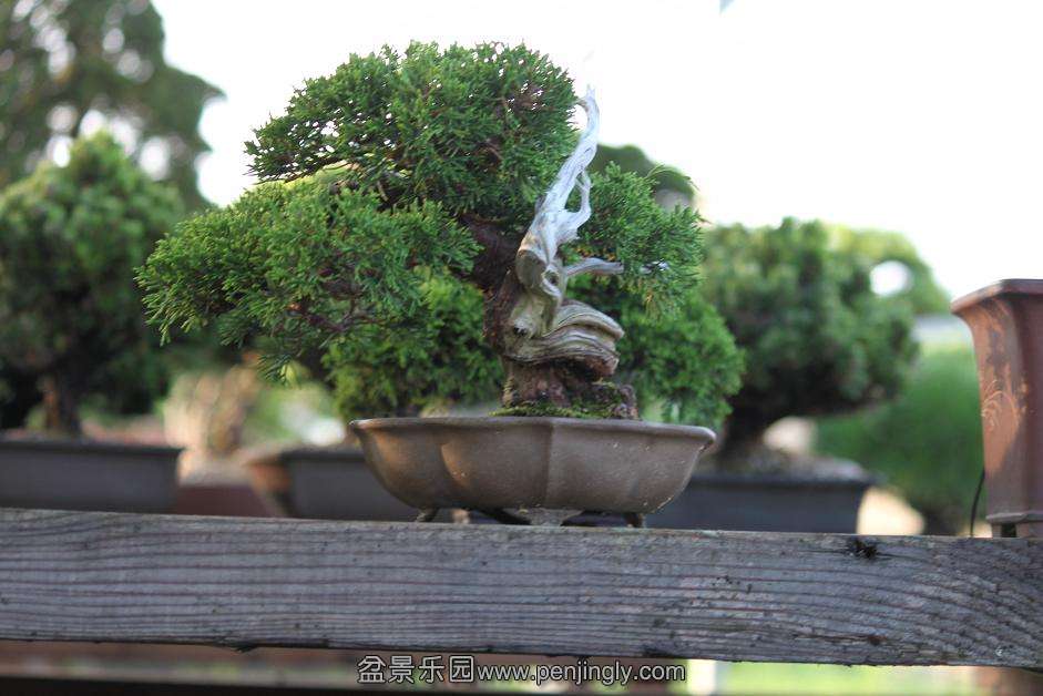 Ƭ 009.jpg