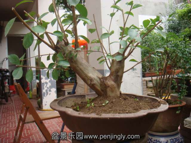 DSC08672.JPG