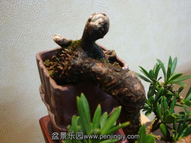 DSC04620.JPG