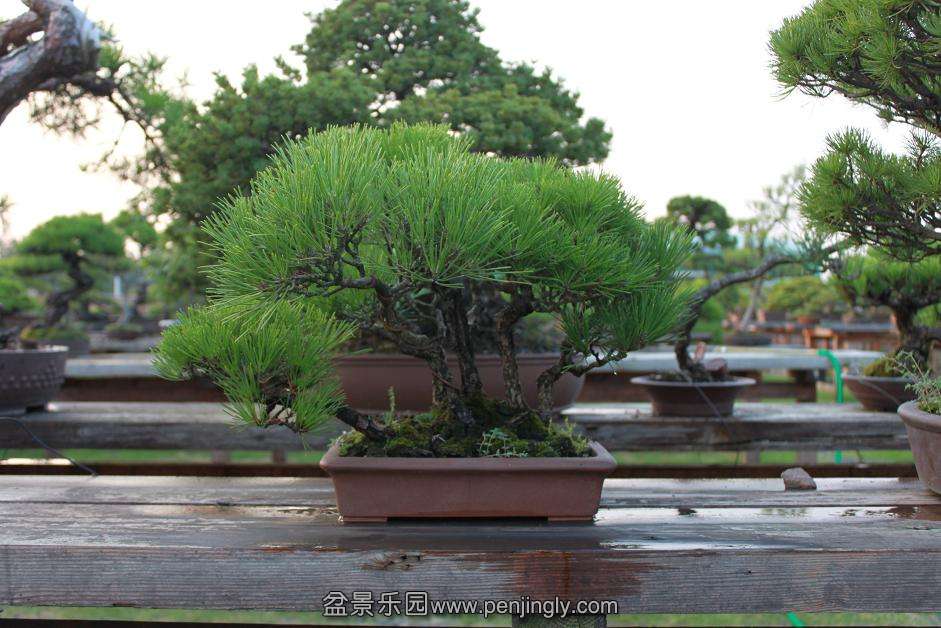 Ƭ 009.jpg