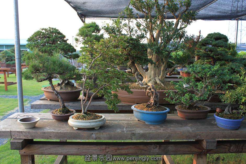 Ƭ 019.jpg
