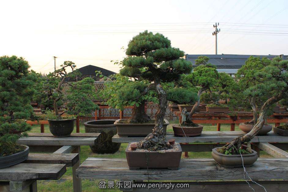 Ƭ 024.jpg