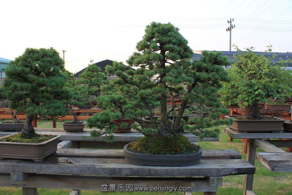 Ƭ 025.jpg