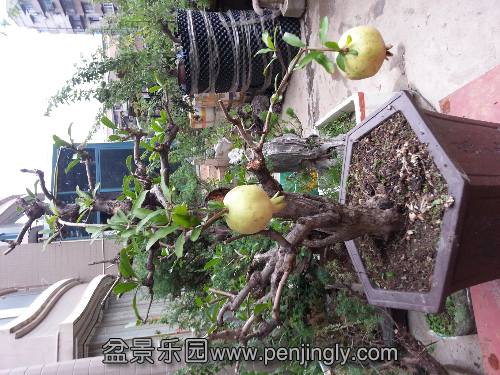20130714_155904.jpg