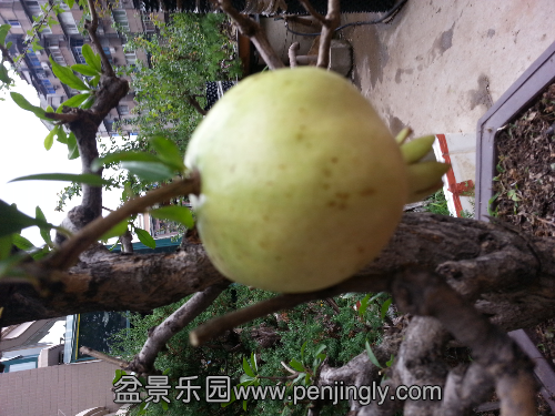 20130714_155916.jpg