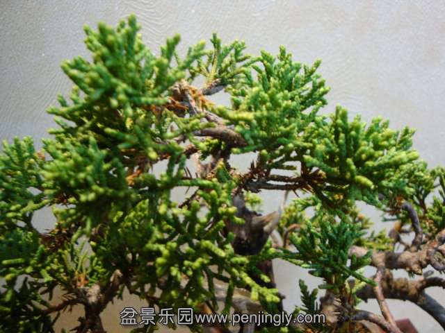 DSC04628.JPG