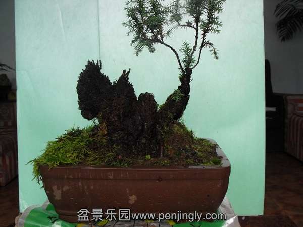 DSCF2751.JPG