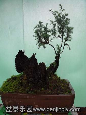 DSCF2752.jpg
