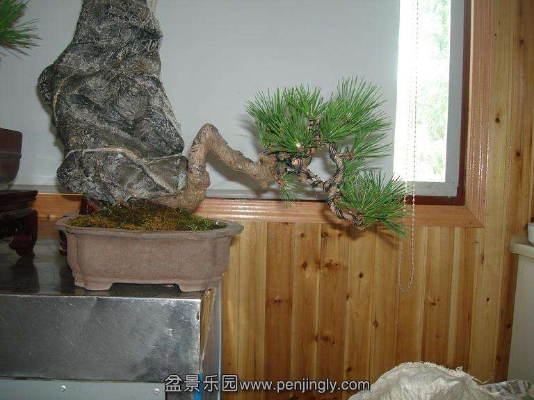 ԰СƷA5.JPG