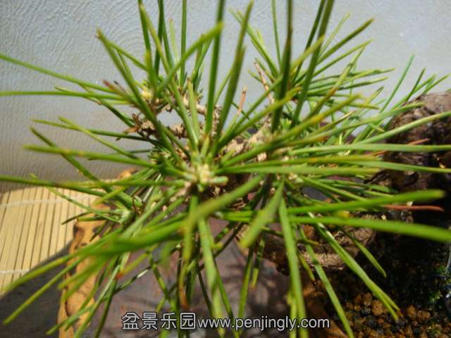 DSC04635.JPG