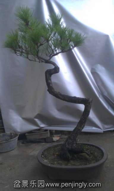 IMAG2407_68346.jpg