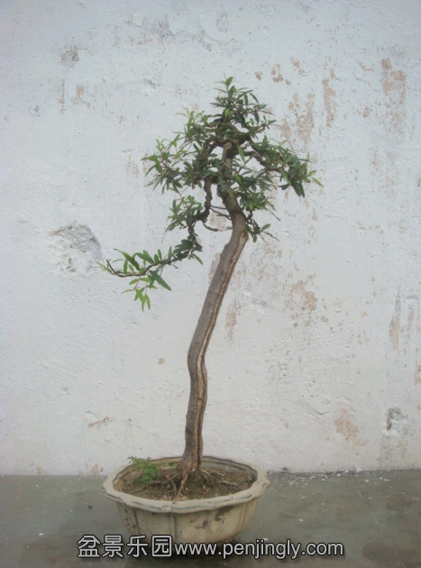 QQͼ20130727212059.png