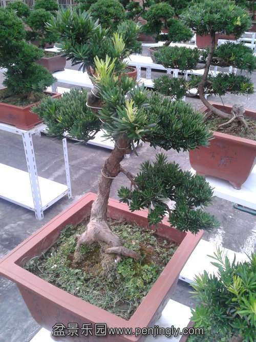 2013-07-27 18.28.24.jpg