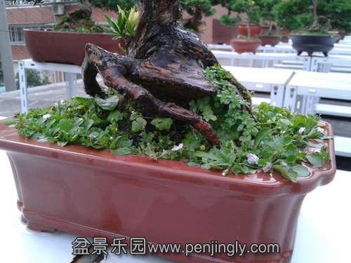 2013-07-27 18.16.49.jpg