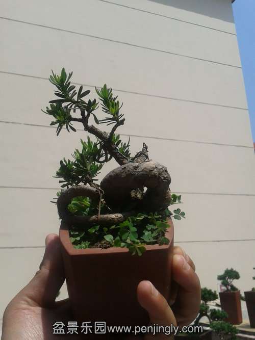 2013-05-22 13.20.59.jpg