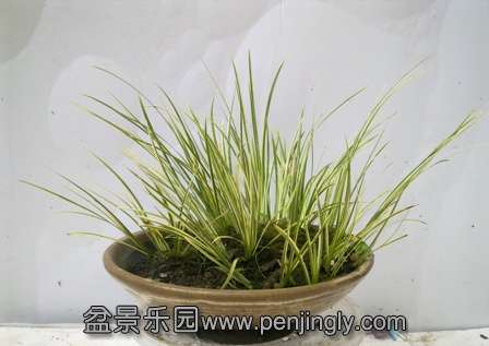 20130728746.jpg