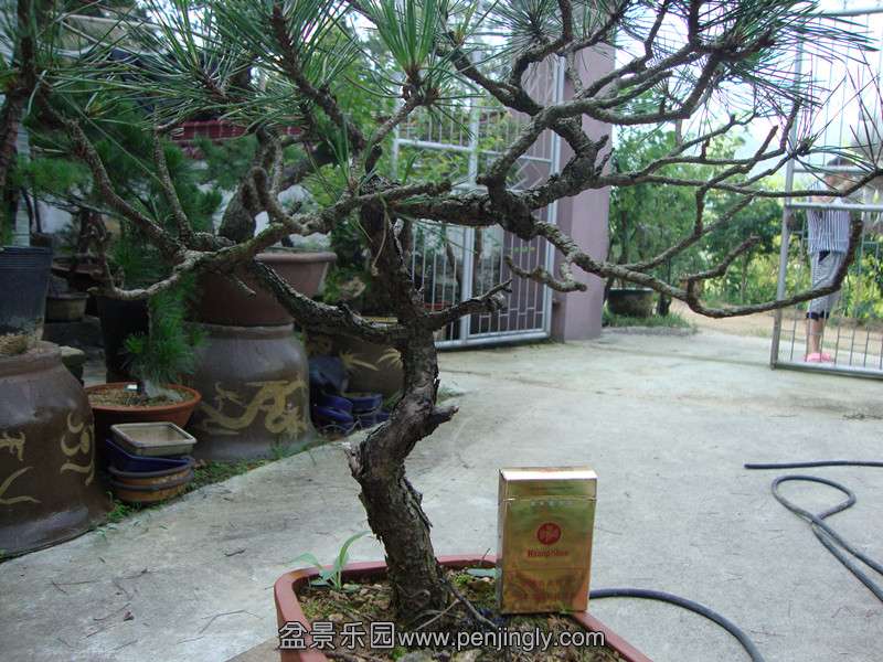 DSC01343_.jpg