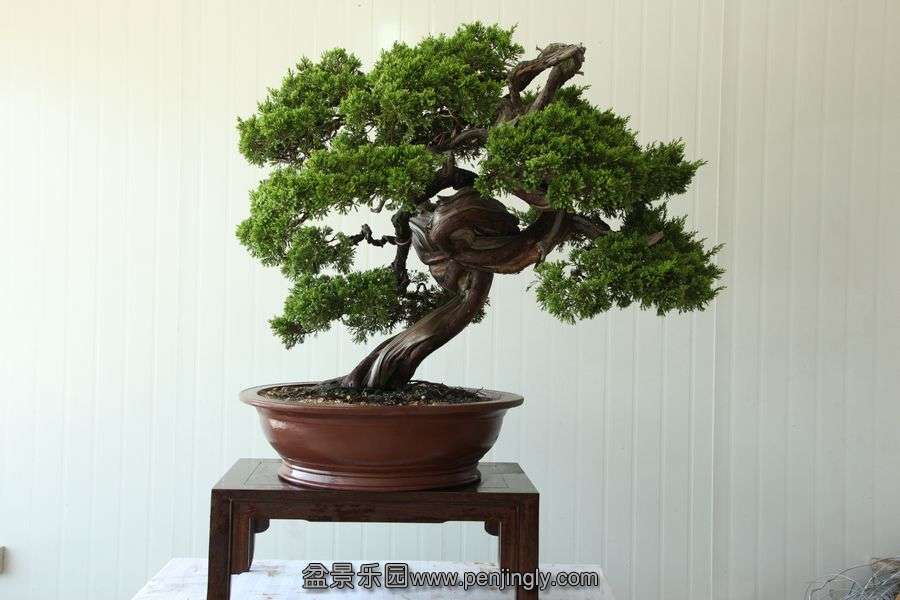 2013.7.27 ---2 125.jpg