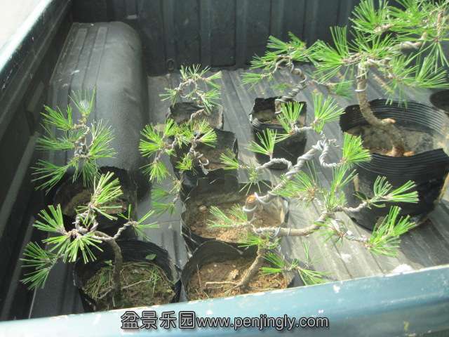 13-07-28 003.jpg