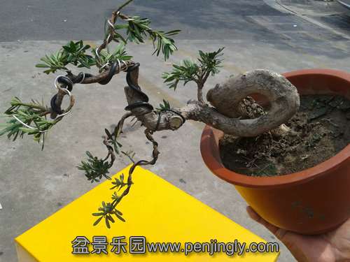 2013-07-28 13.47.36.jpg