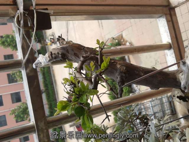 2013-07-30 14.51.20.jpg