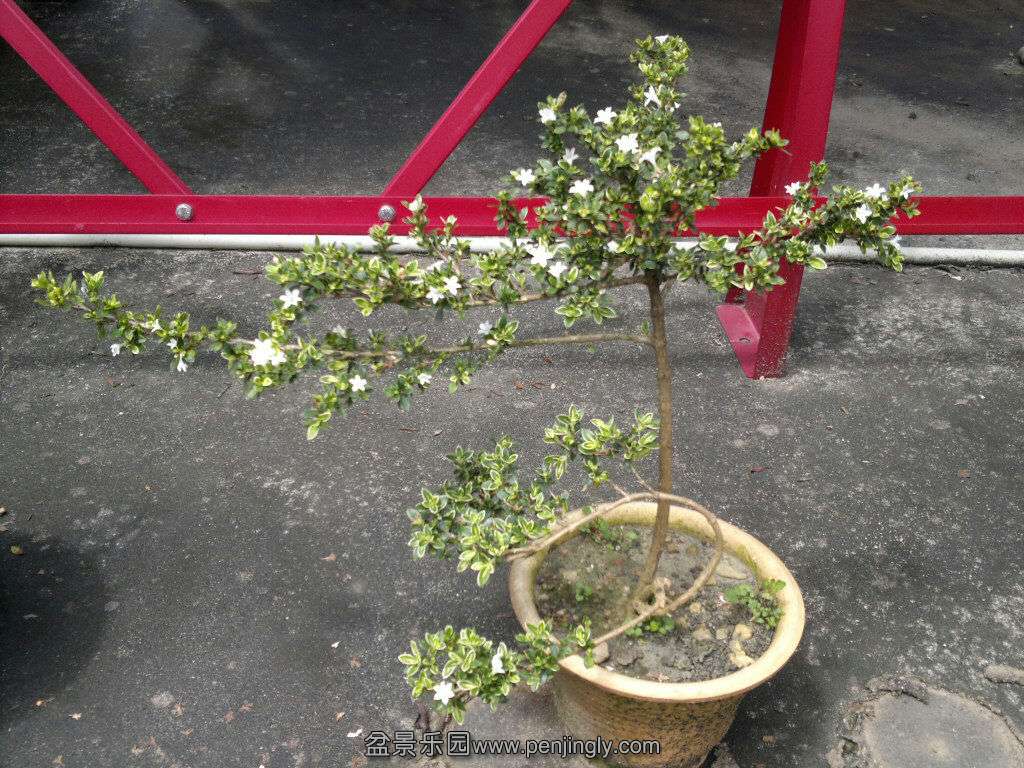 20130730115115.jpg