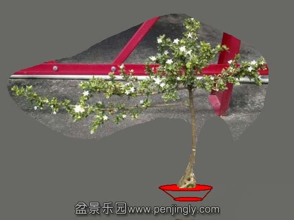 085100ribcib9li38081j9_jpg_thumb.jpg