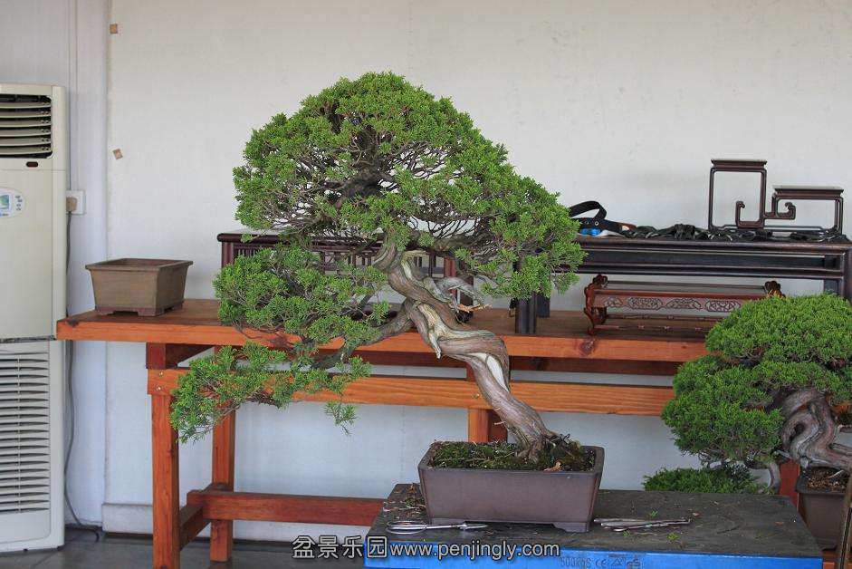 Ƭ 006.jpg