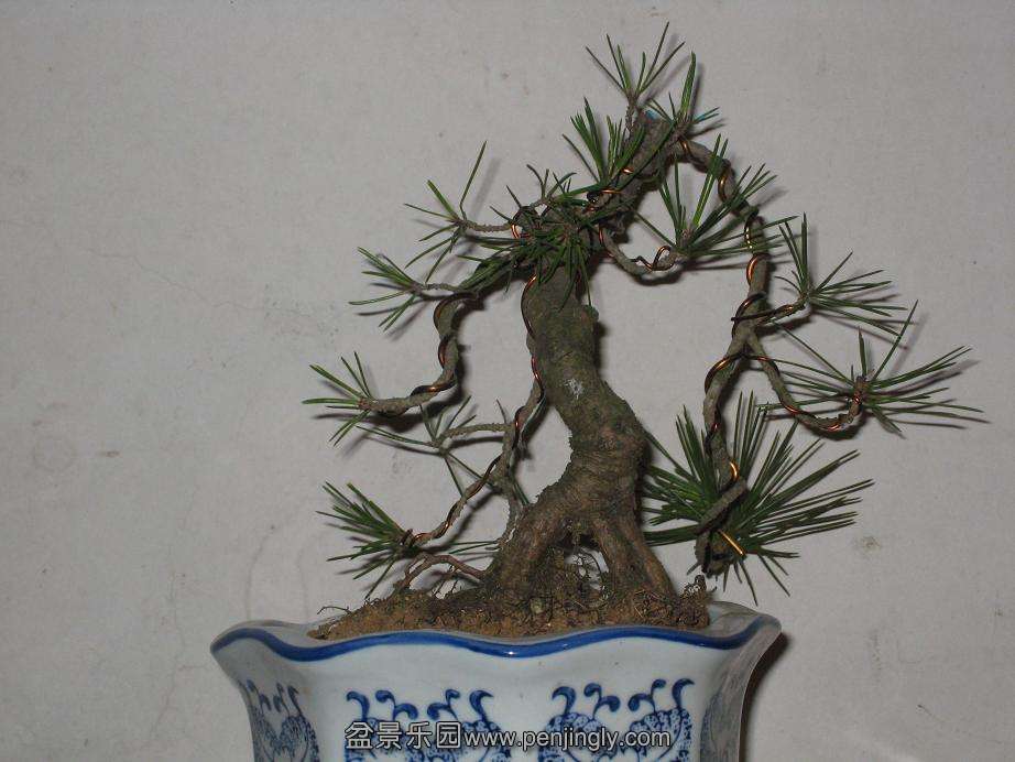 Ƭ 004.jpg