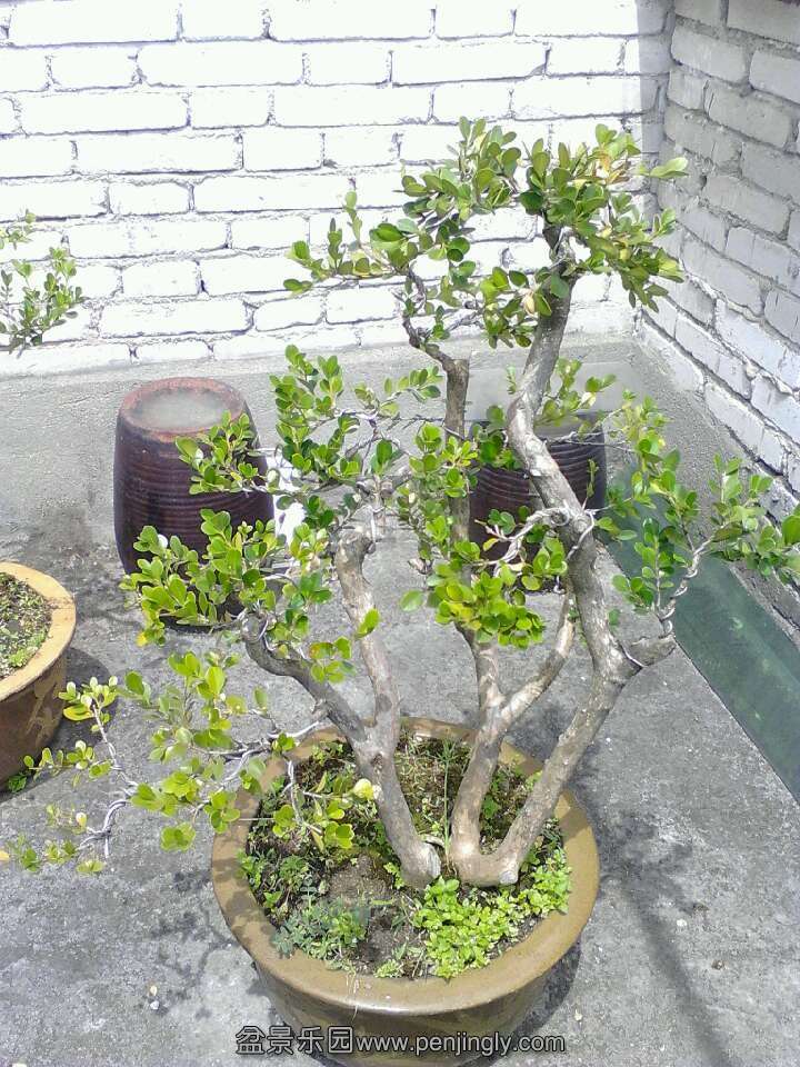 QQ图片20130802113133.jpg