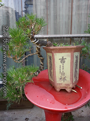 230859ahx6suri2zzipui0.jpg.jpg
