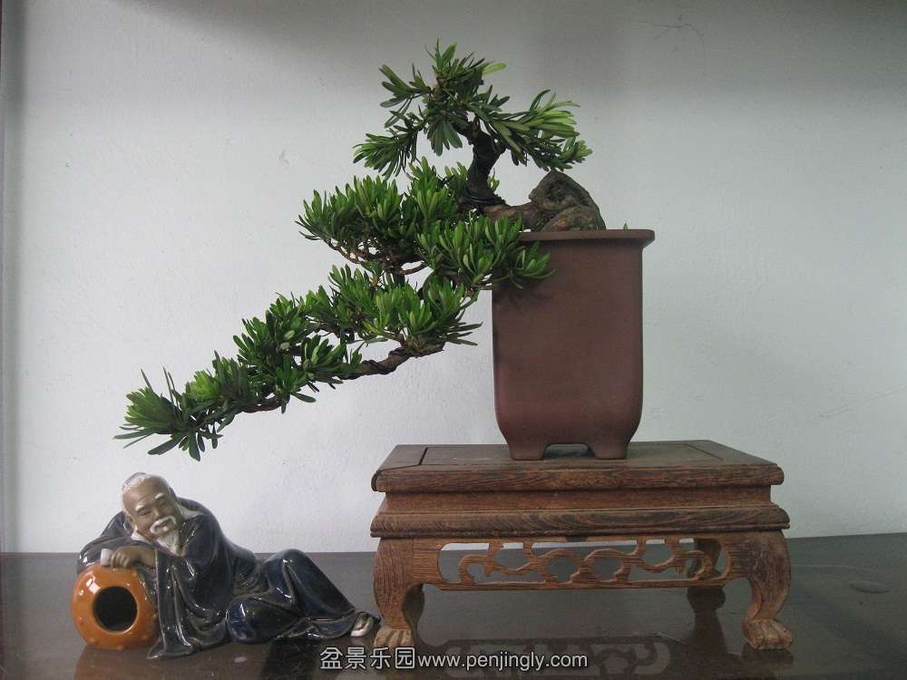 IMG_1925 - 副本.JPG