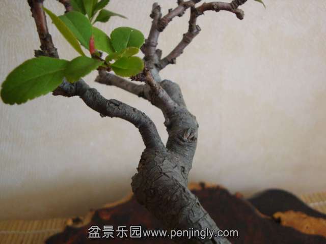 DSC04670.JPG