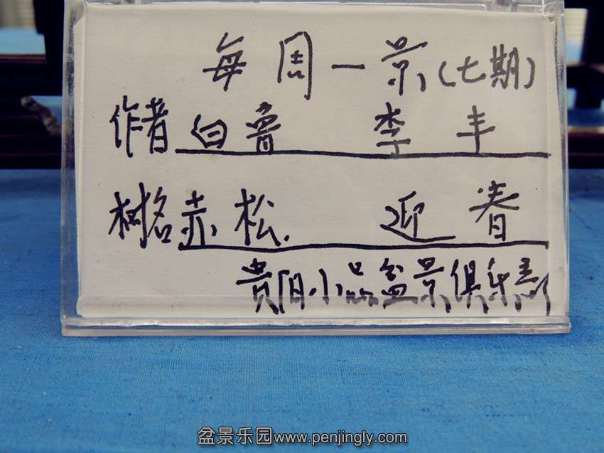 DSCN1317_.jpg