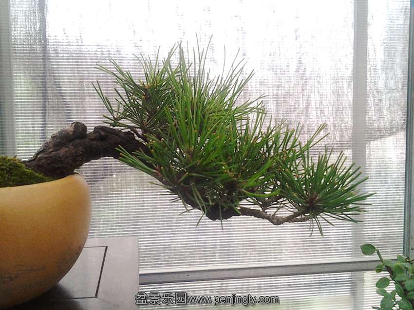 2013-08-04 08.45.14_.jpg