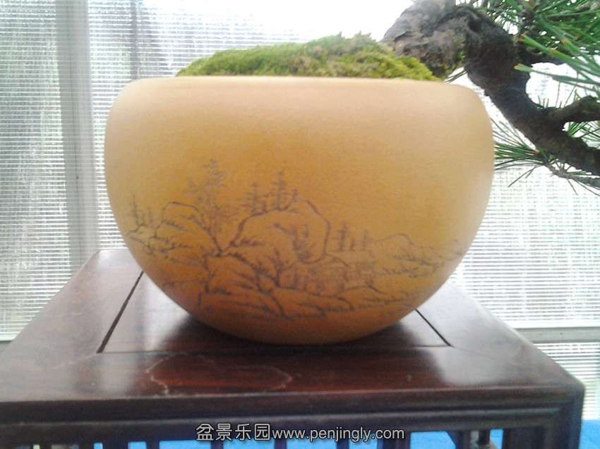 2013-08-04 08.46.19_.jpg