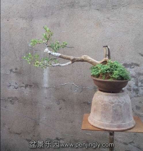 QQͼƬ20130806100639.jpg