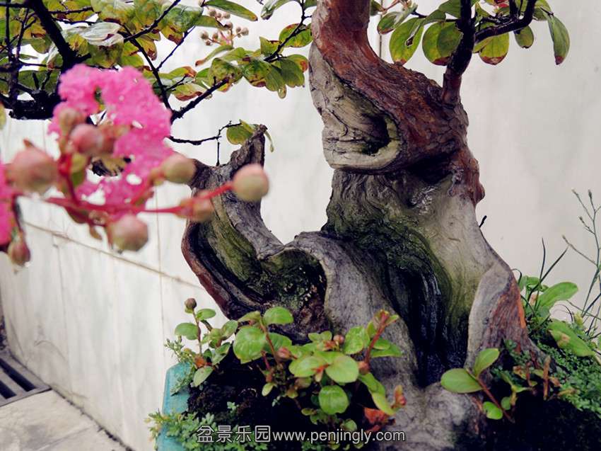 DSCN1293_.jpg