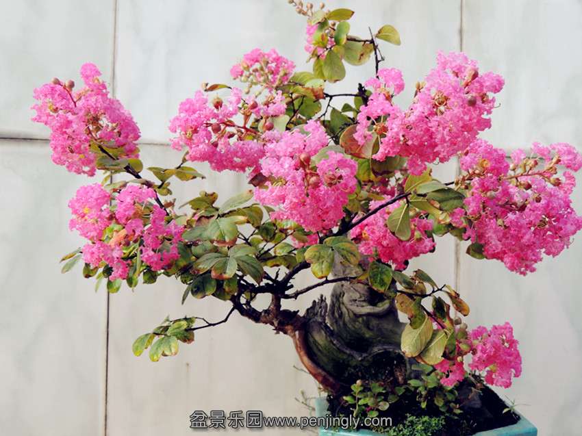 DSCN1330_.jpg