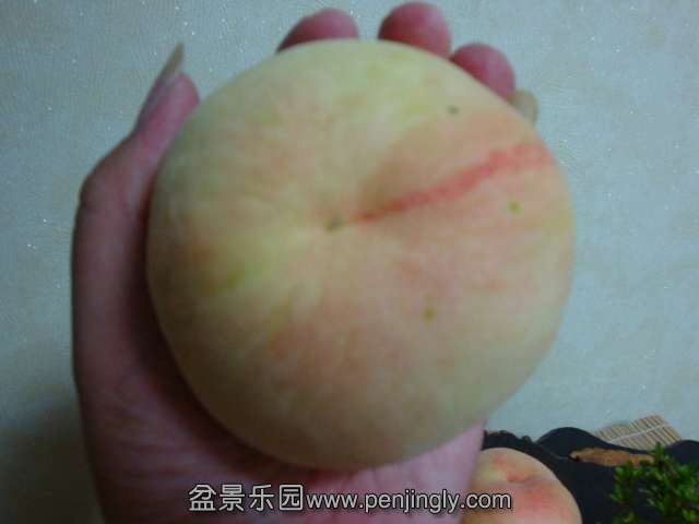 DSC04705.JPG