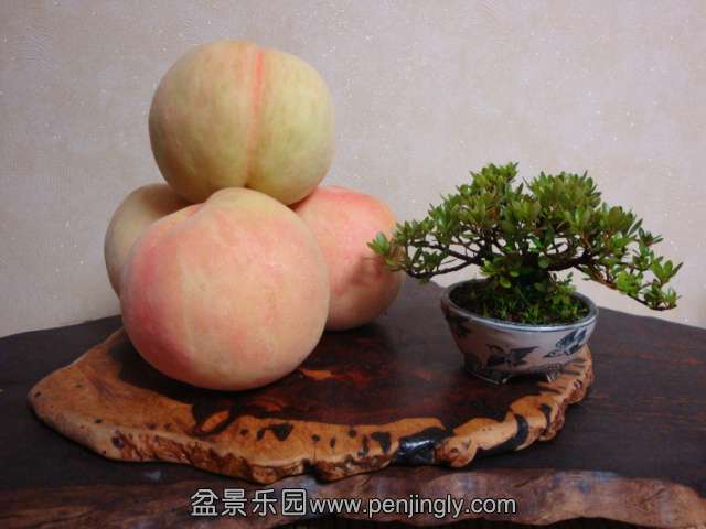 DSC04703.JPG