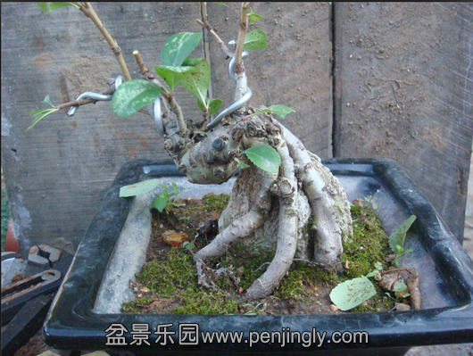 QQͼ20130806220151.png