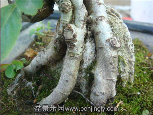 QQͼ20130806220203.png