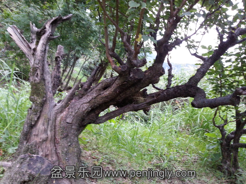 20130802_185001.jpg