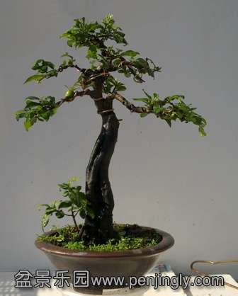 20130808834.jpg