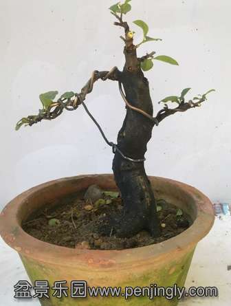 20130808839.jpg