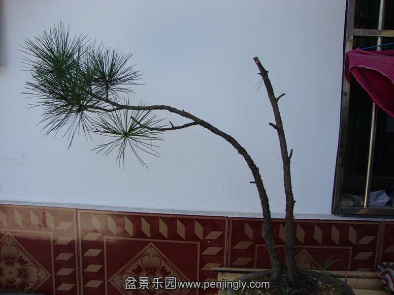 DSC01364_.jpg